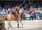 Pferd International 138